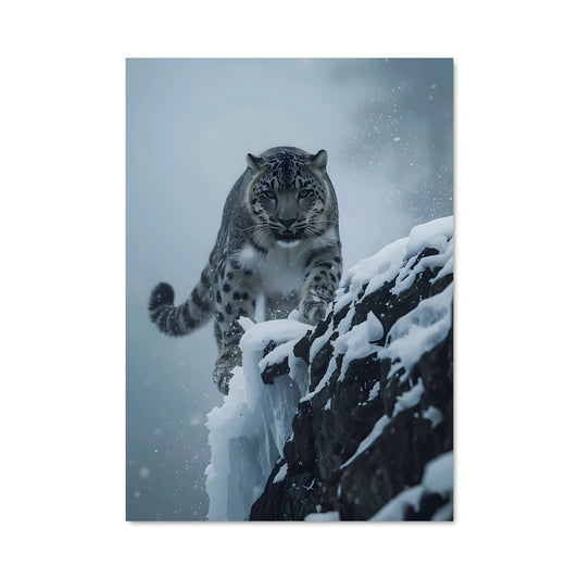 Poster Snow leopard 84375