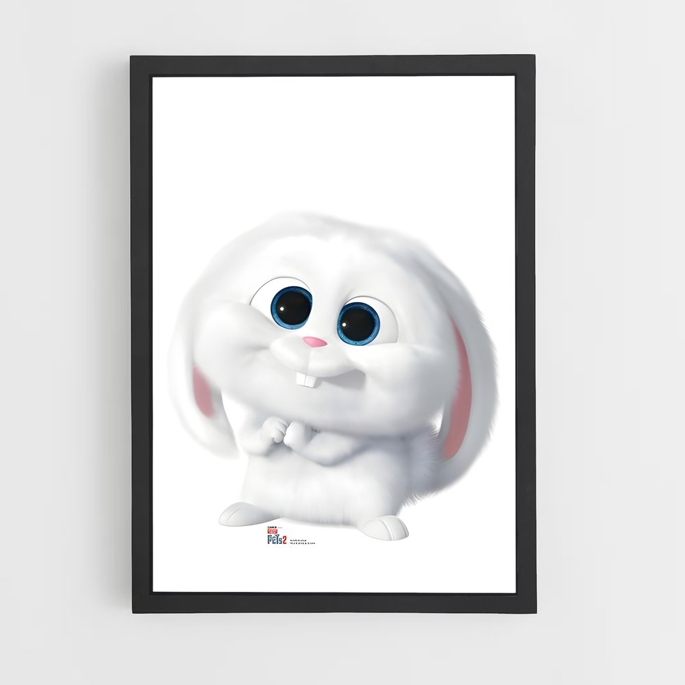 ap-snowball-2 cadre Noir