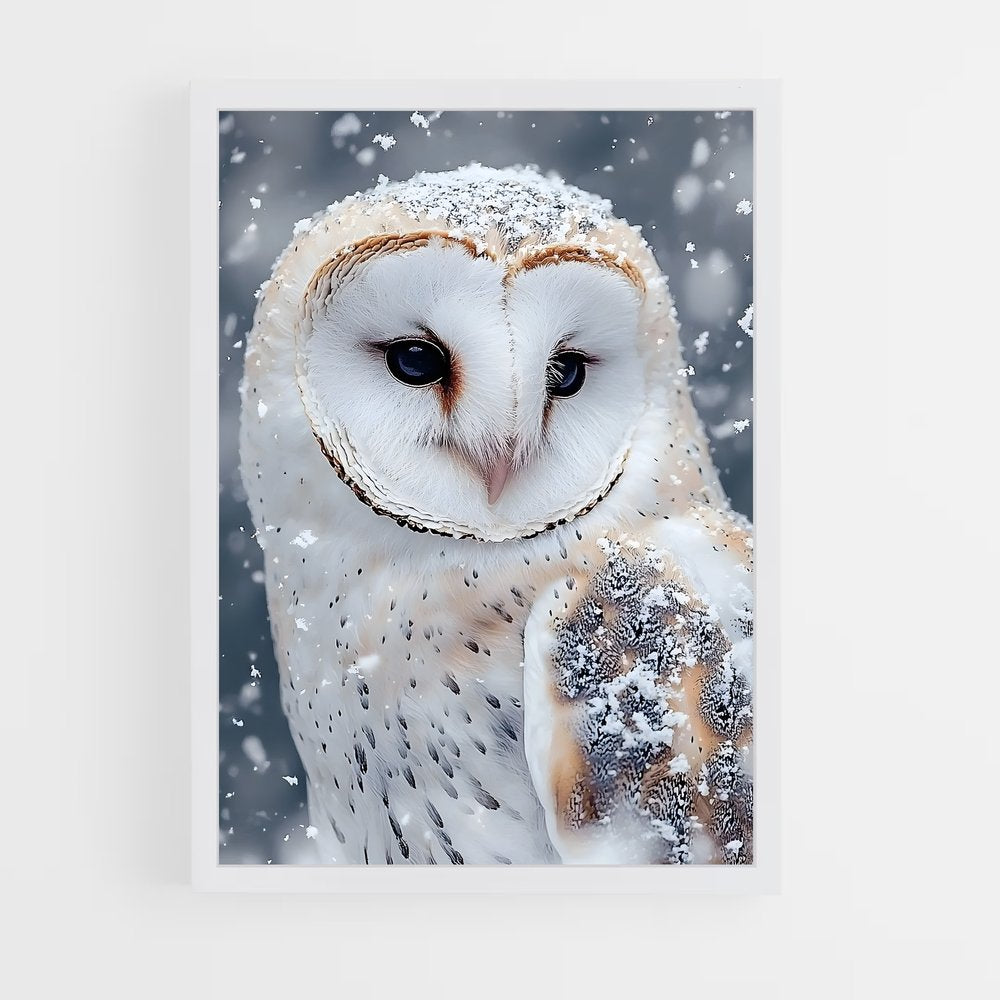 ap-snowy owl-10 cadre Blanc