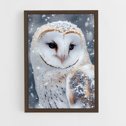 ap-snowy owl-10 cadre Bois foncé
