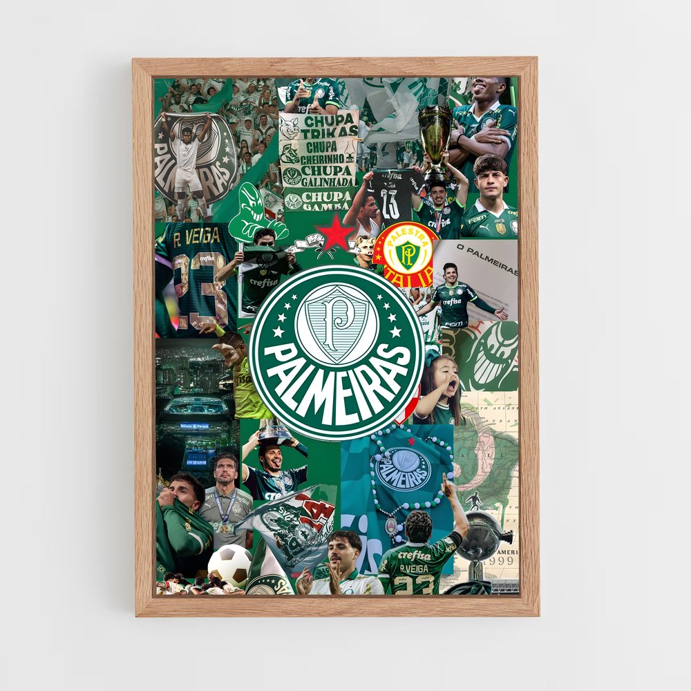 ap-sociedade esportiva palmeiras-3 cadre Bois clair