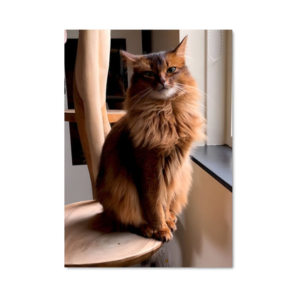Poster Chat Fluffy