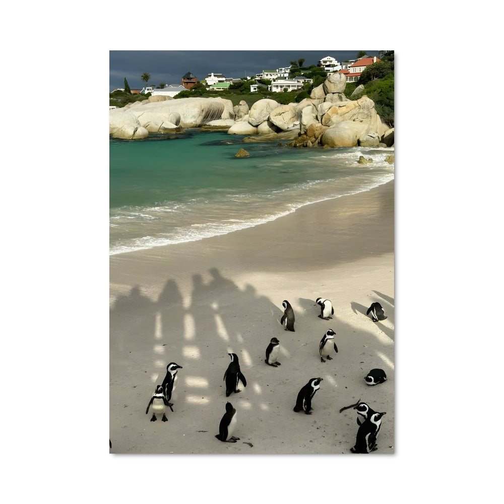 Poster Penguins & Shadows