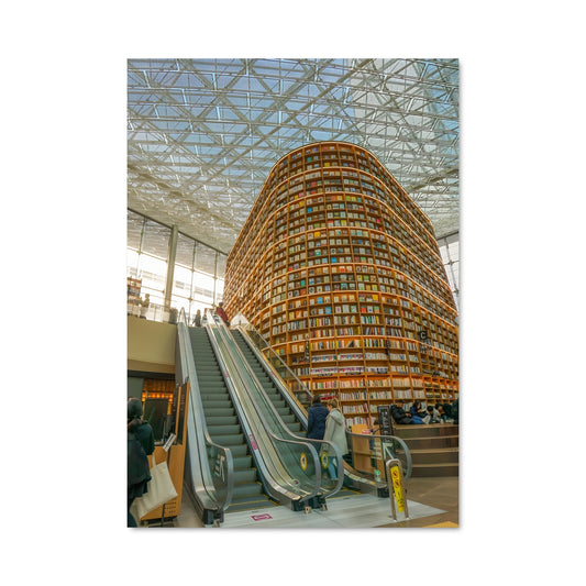 Poster Bibliothèque Aérienne