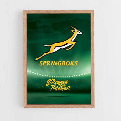 ap-south africa springboks-5 cadre Bois clair