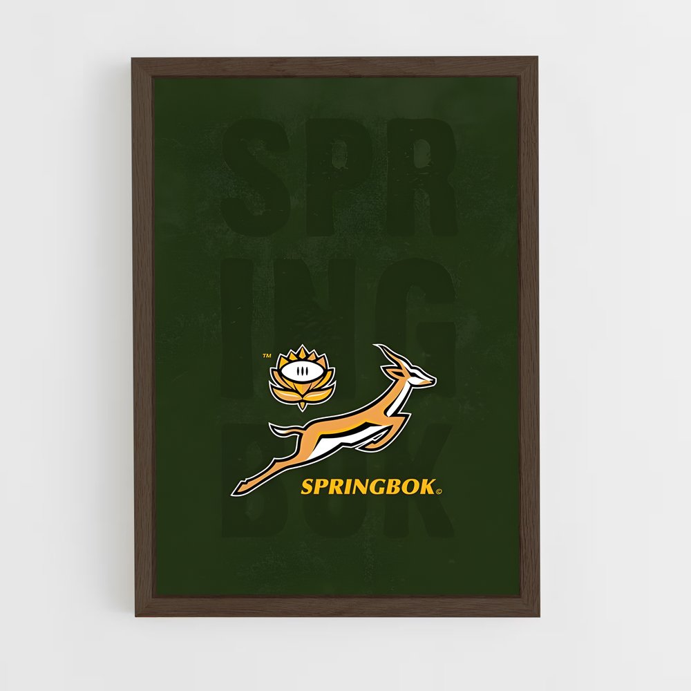 ap-south africa springboks-7 cadre Bois foncé