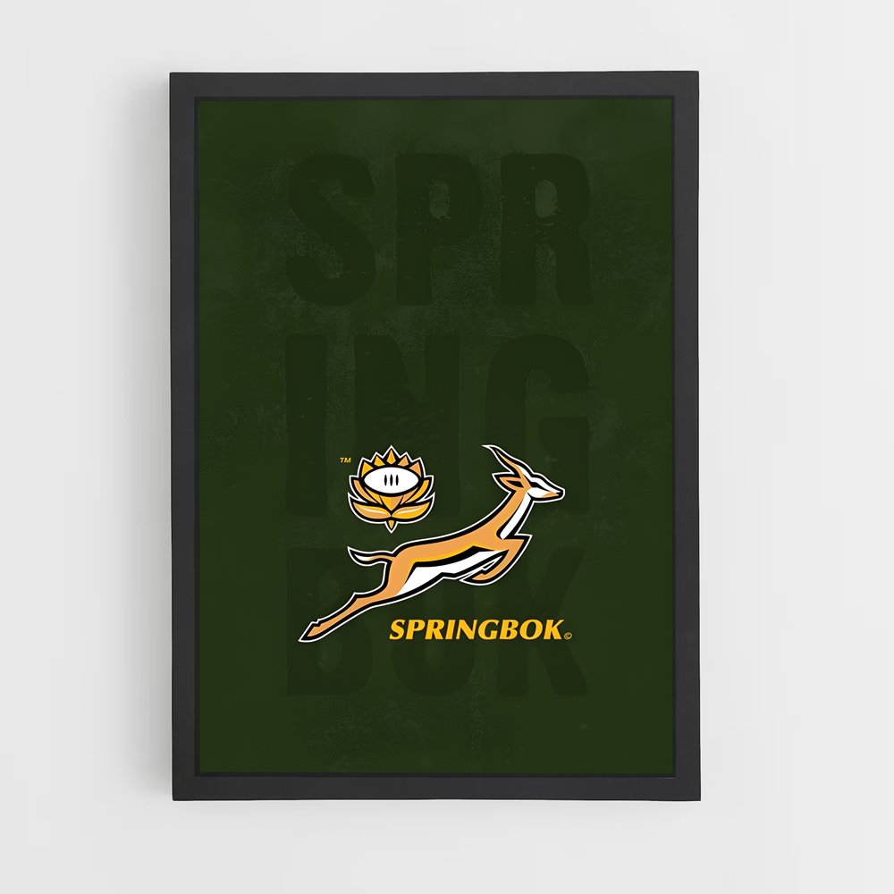 ap-south africa springboks-7 cadre Noir