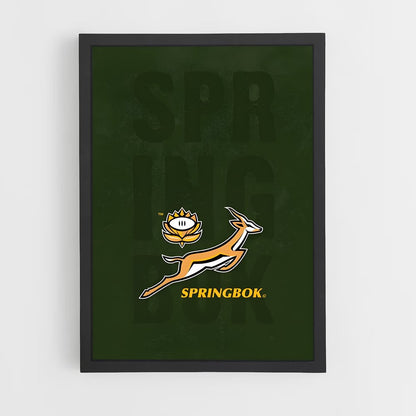 ap-south africa springboks-7 cadre Noir