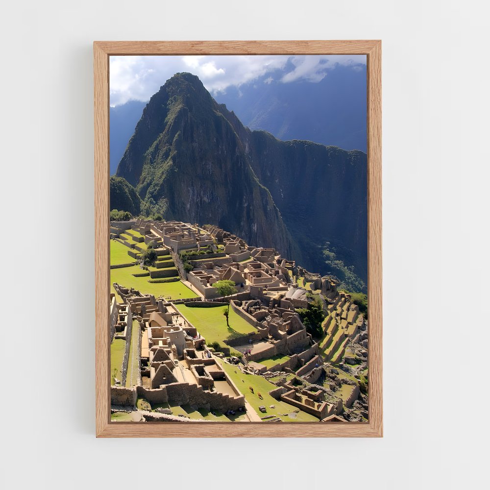 ap-south america-1 cadre Bois clair