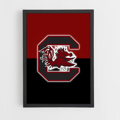 ap-south carolina gamecocks-3 cadre Noir