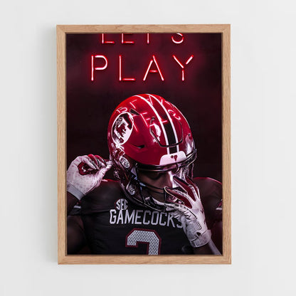ap-south carolina gamecocks-4 cadre Bois clair