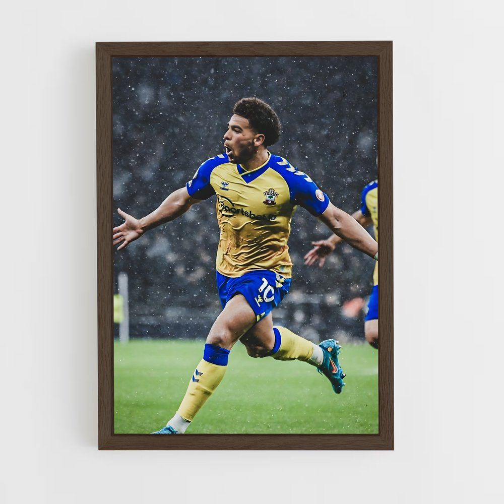 ap-southampton fc-10 cadre Bois foncé