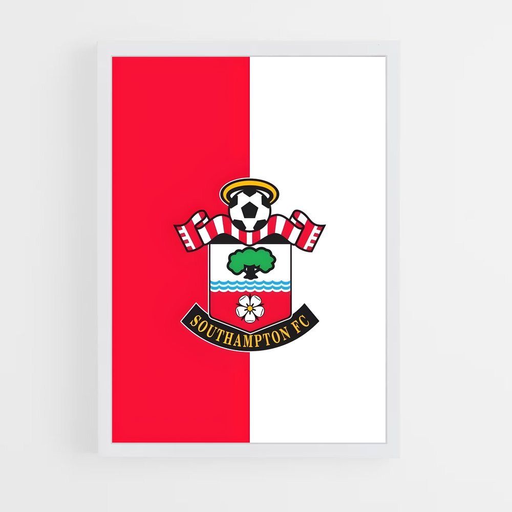 ap-southampton fc-6 cadre Blanc