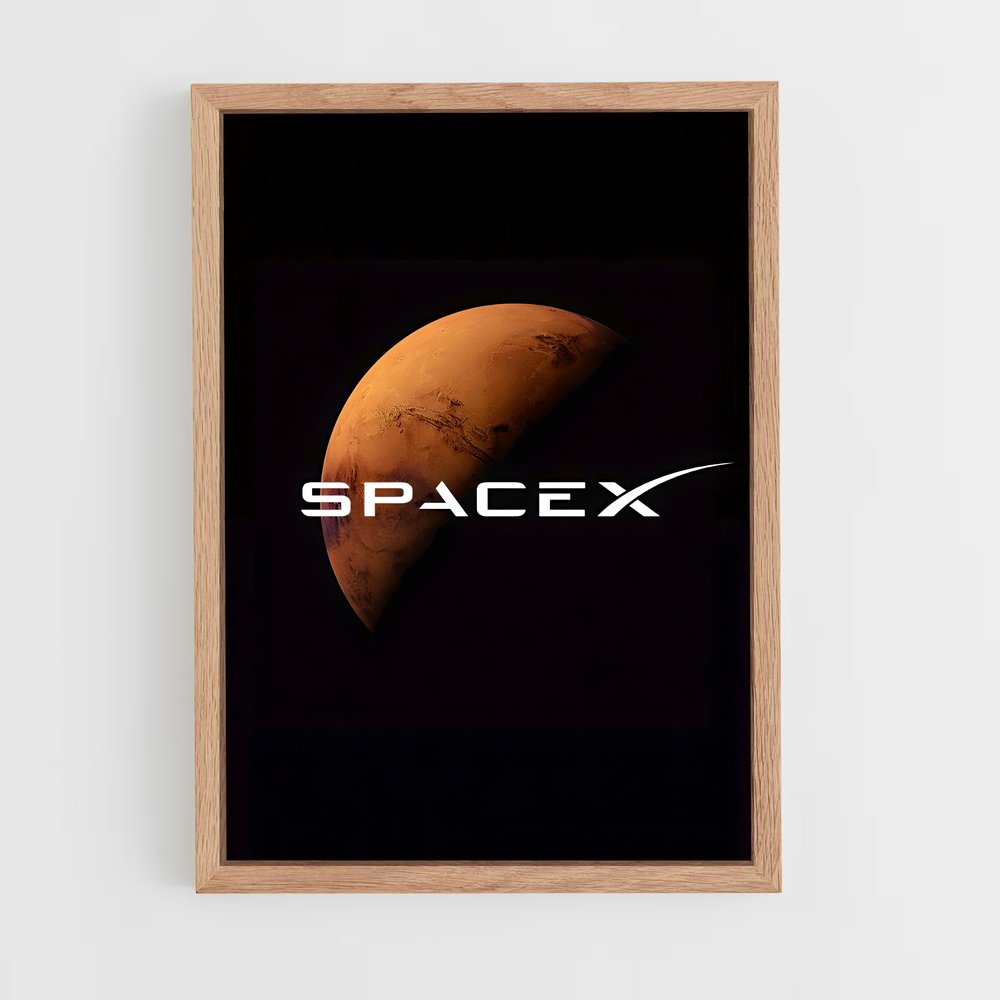 ap-spacex-4 cadre Bois clair