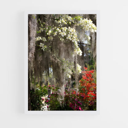 ap-spanish moss-8 cadre Blanc