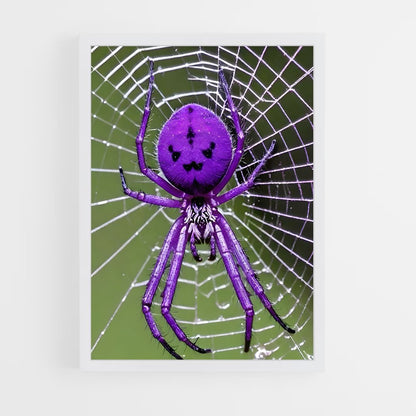ap-spider-7 cadre Blanc