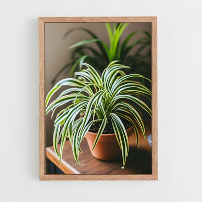 ap-spider plant-3 cadre Bois clair