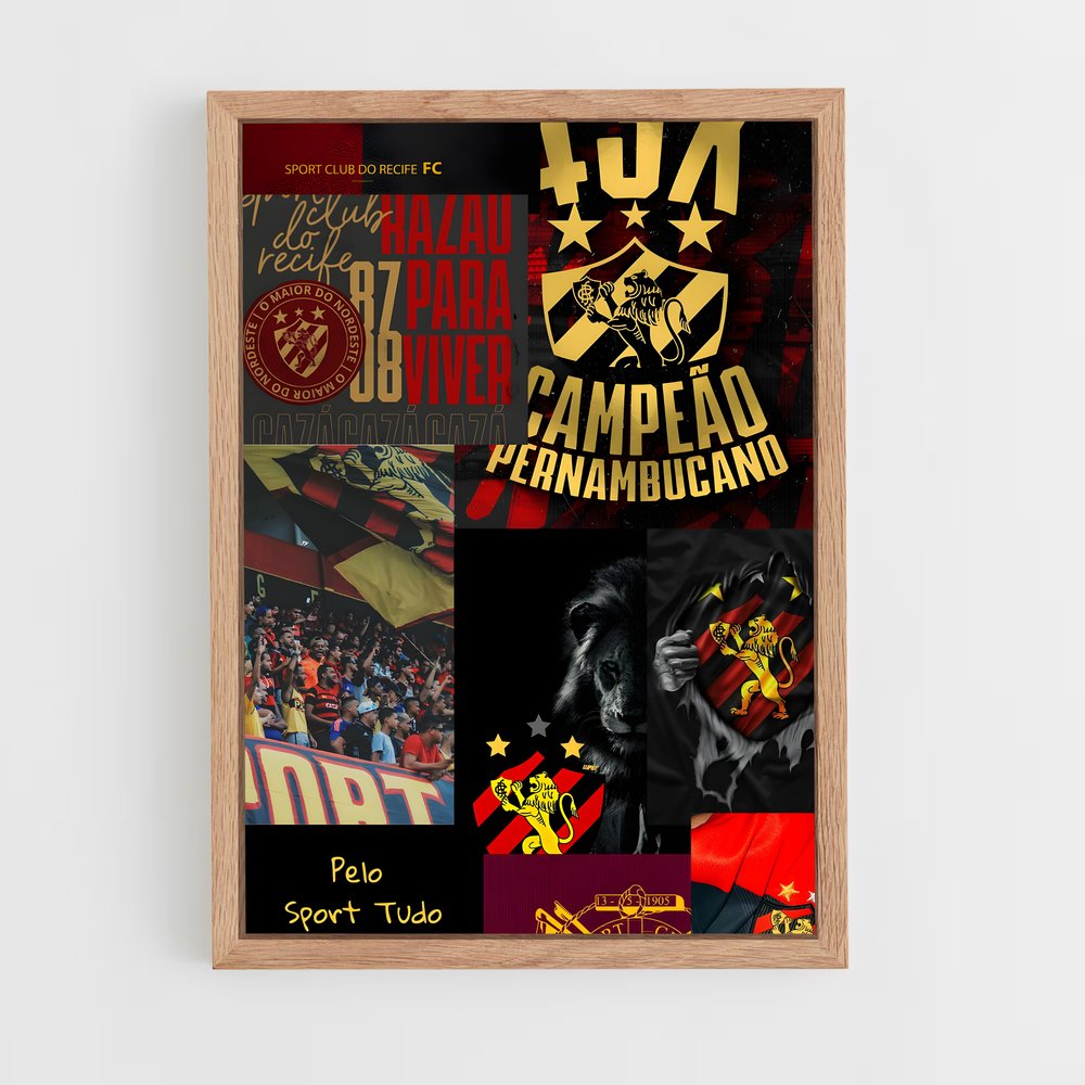 ap-sport club do recife-10 cadre Bois clair