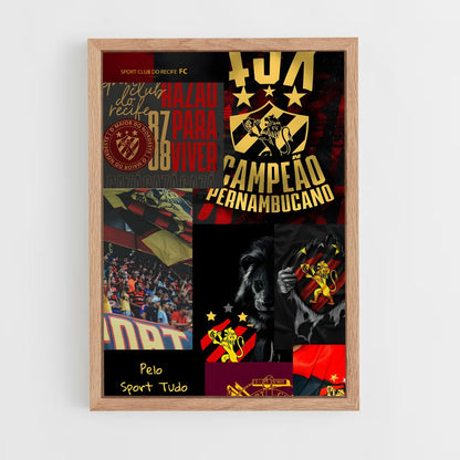ap-sport club do recife-10 cadre Bois clair