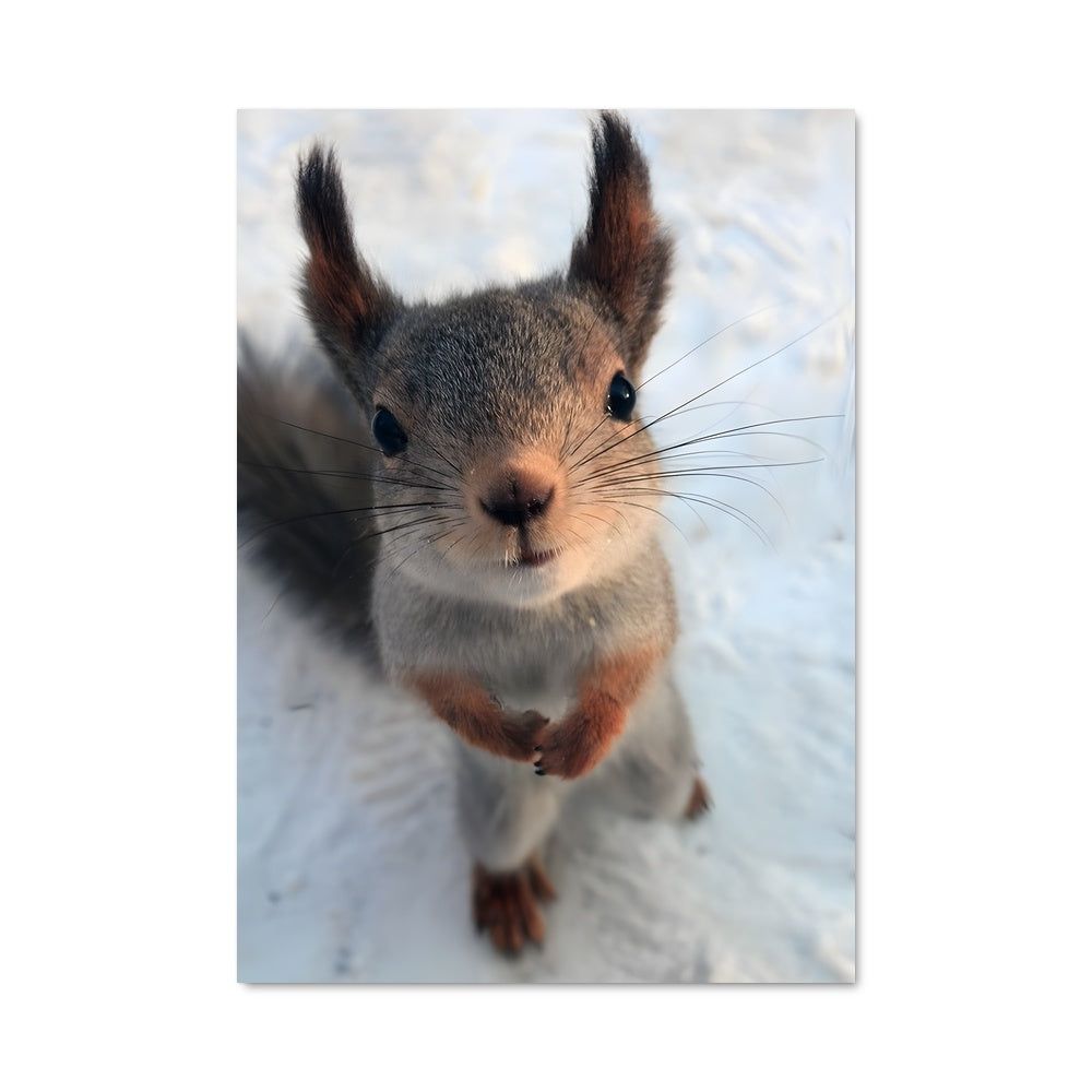 Poster Queue d'Étoile