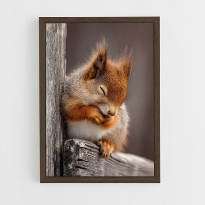 ap-squirrel-6 cadre Bois foncé