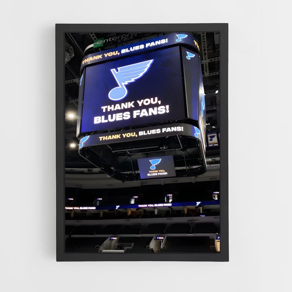 ap-st. louis blues-9 cadre Noir