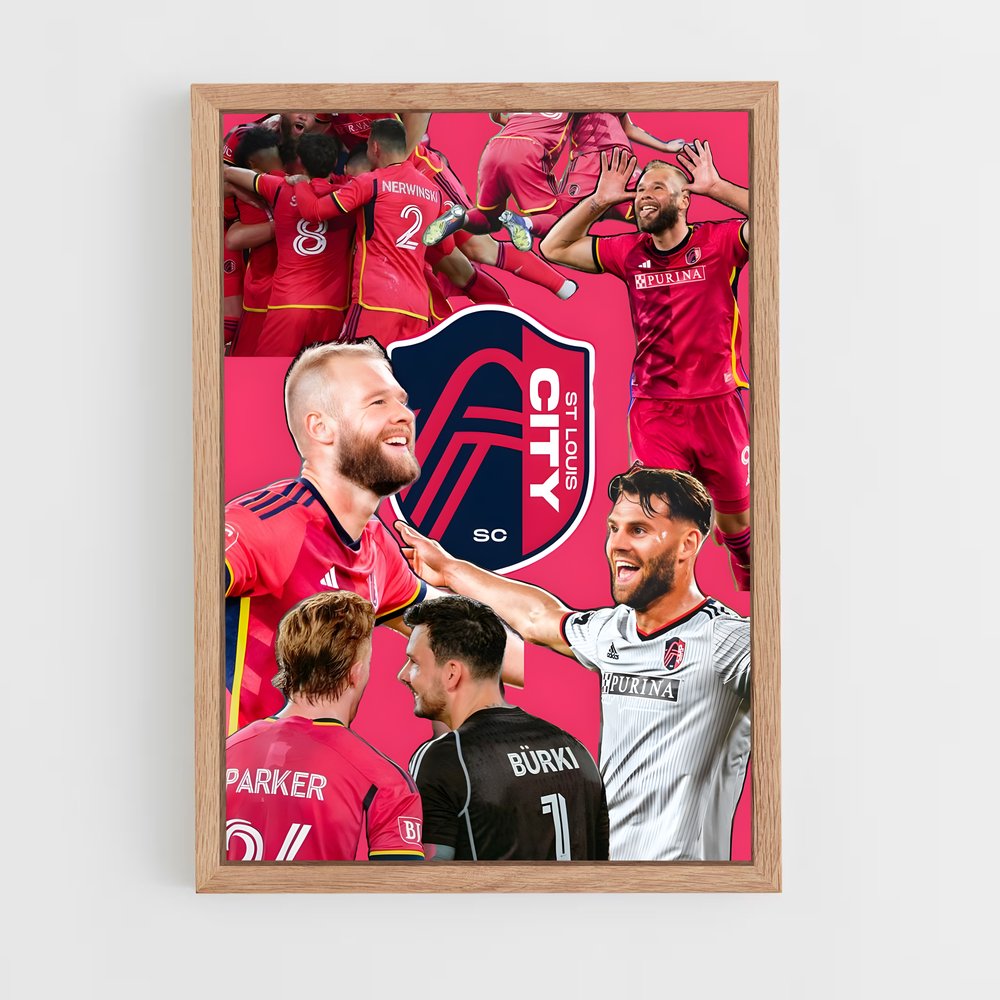 ap-st louis city sc-2 cadre Bois clair