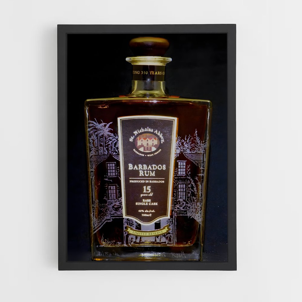 ap-st nicholas abbey-4 cadre Noir
