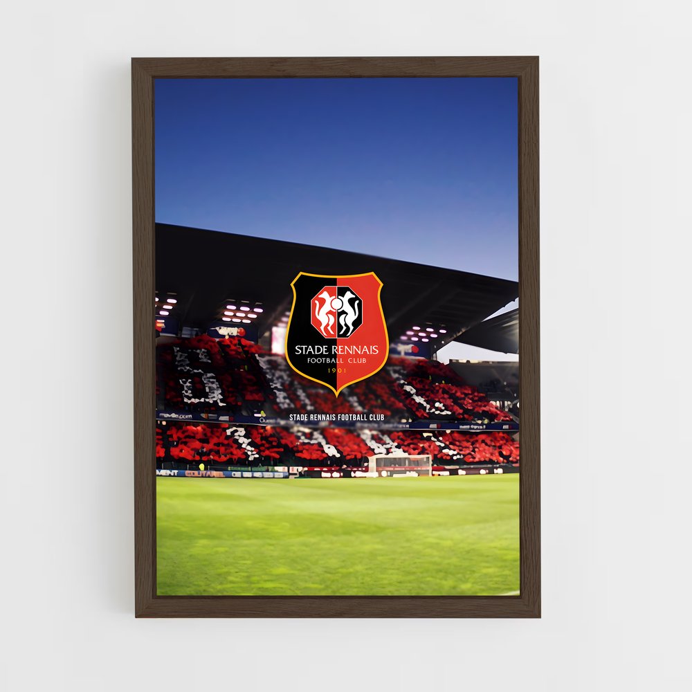 ap-stade rennais fc-8 cadre Bois foncé