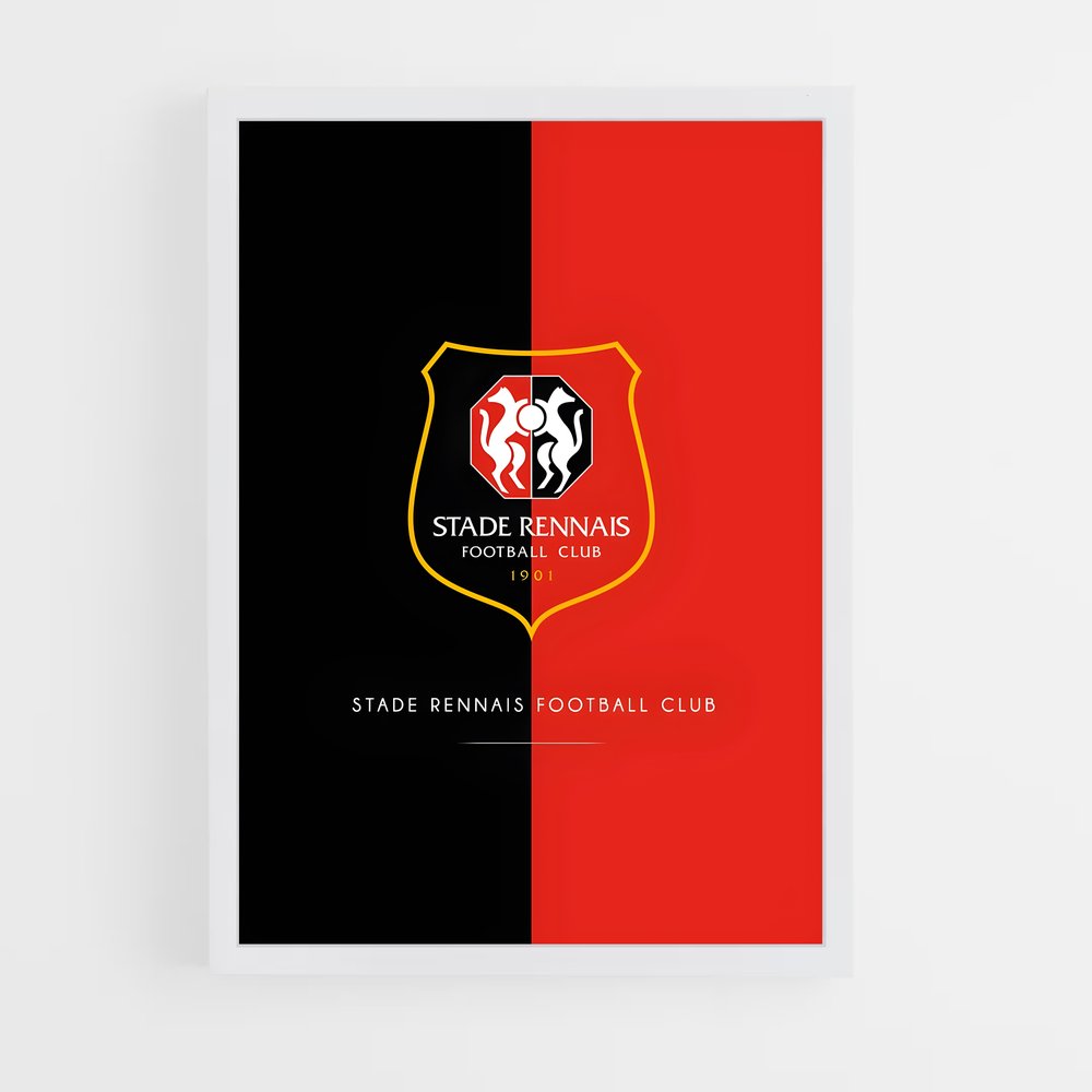 ap-stade rennais fc-9 cadre Blanc