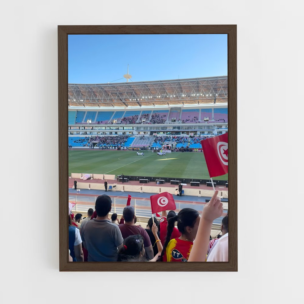 ap-stade tunisien-1 cadre Bois foncé