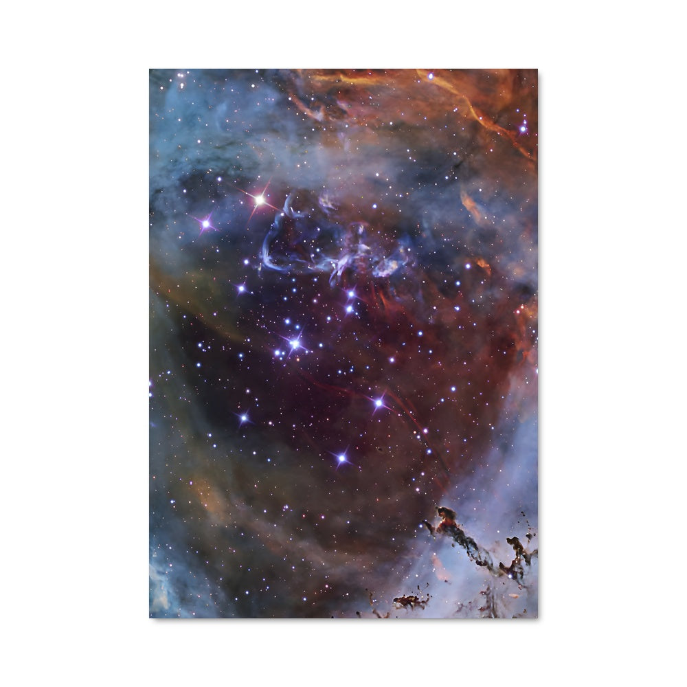 Poster Taranui Étoilé