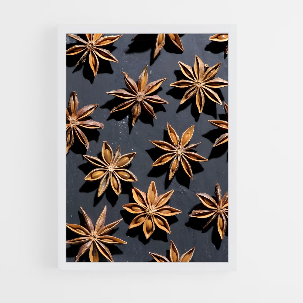 ap-star anise-4 cadre Blanc