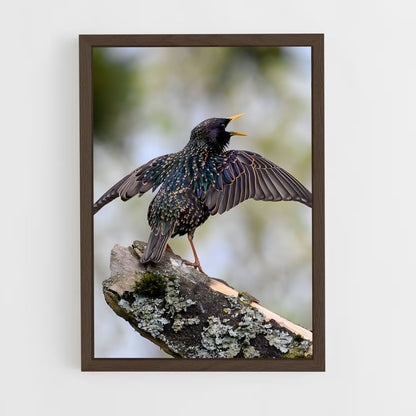 ap-starling-5 cadre Bois foncé