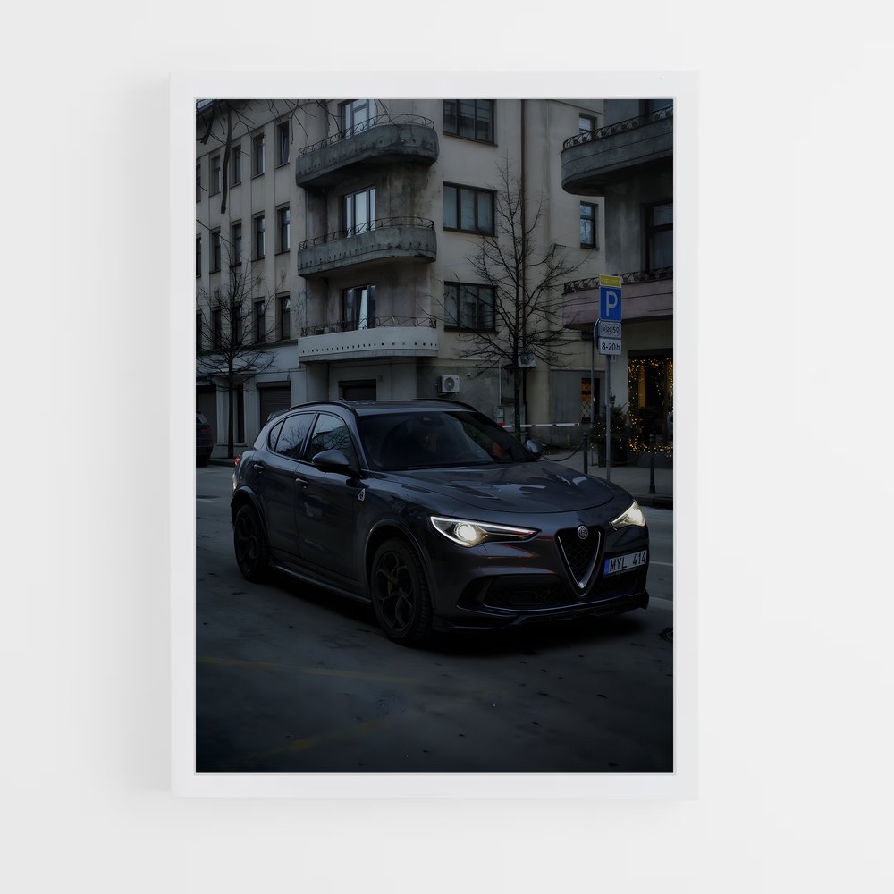 ap-stelvio quadrifoglio-2 cadre Blanc