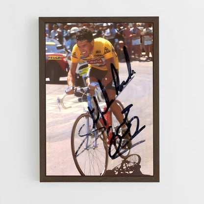 ap-stephen roche-1 cadre Bois foncé