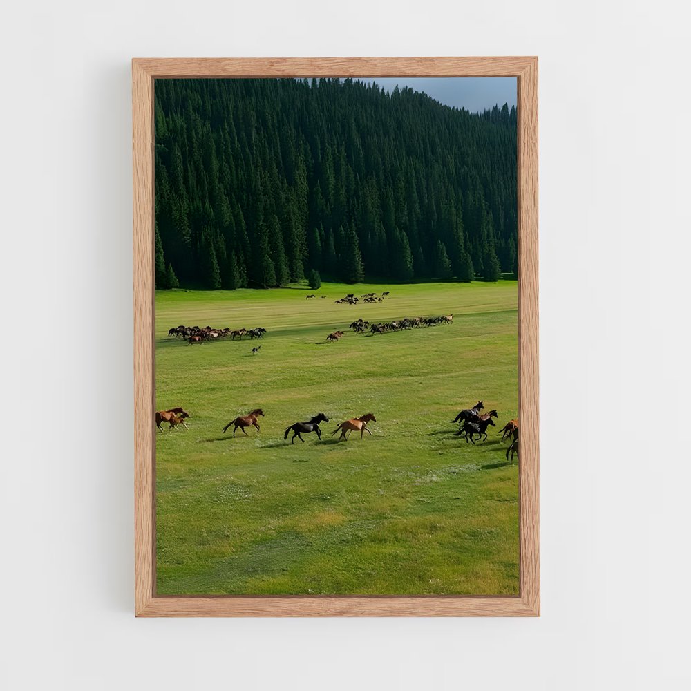 ap-steppe-1 cadre Bois clair