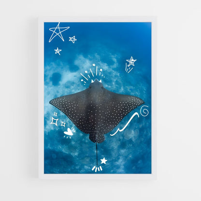 ap-stingray-2 cadre Blanc