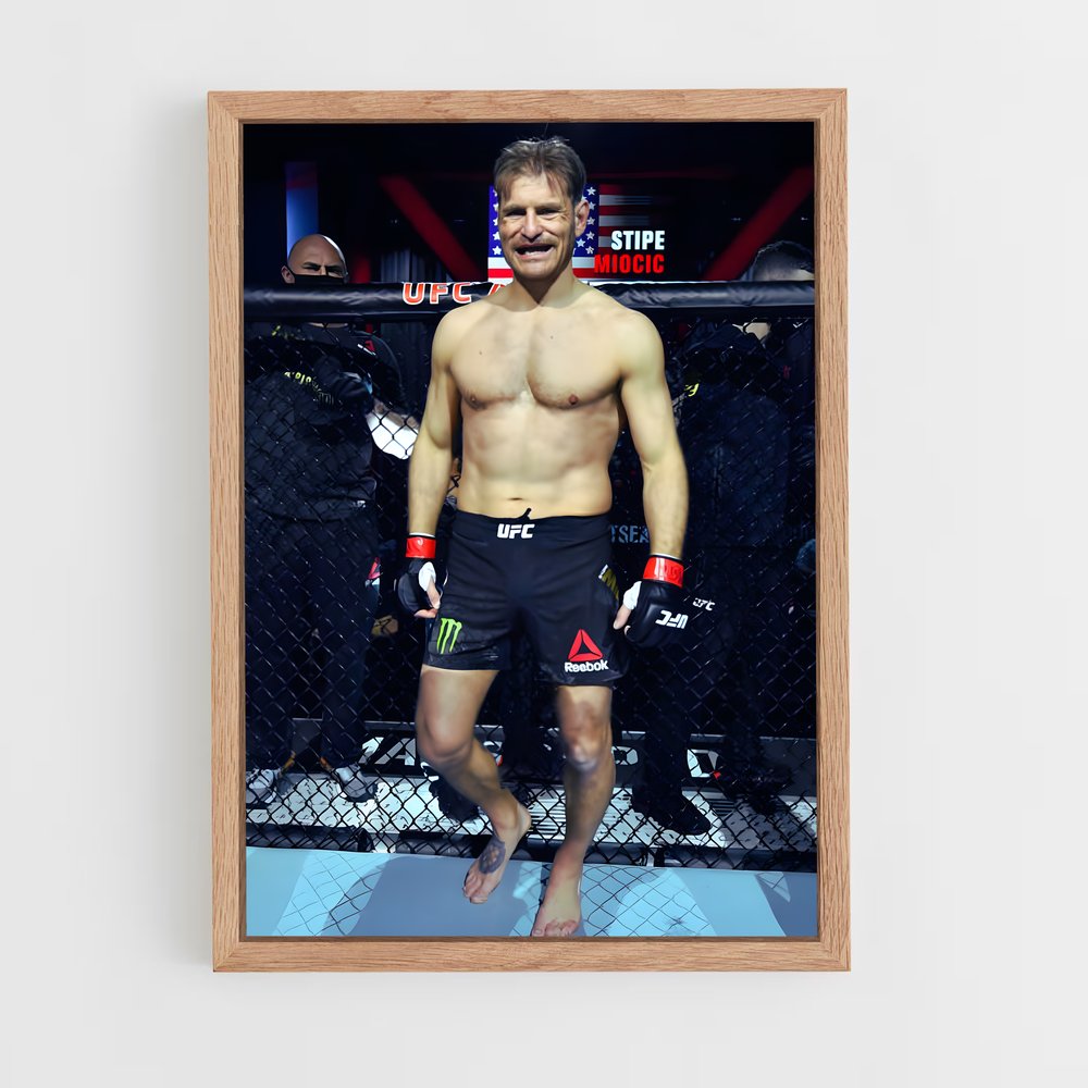 ap-stipe miocic-7 cadre Bois clair