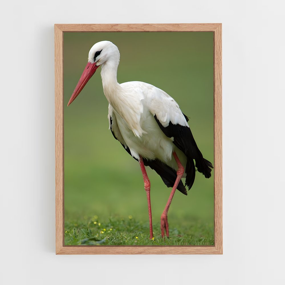 ap-stork-1 cadre Bois clair
