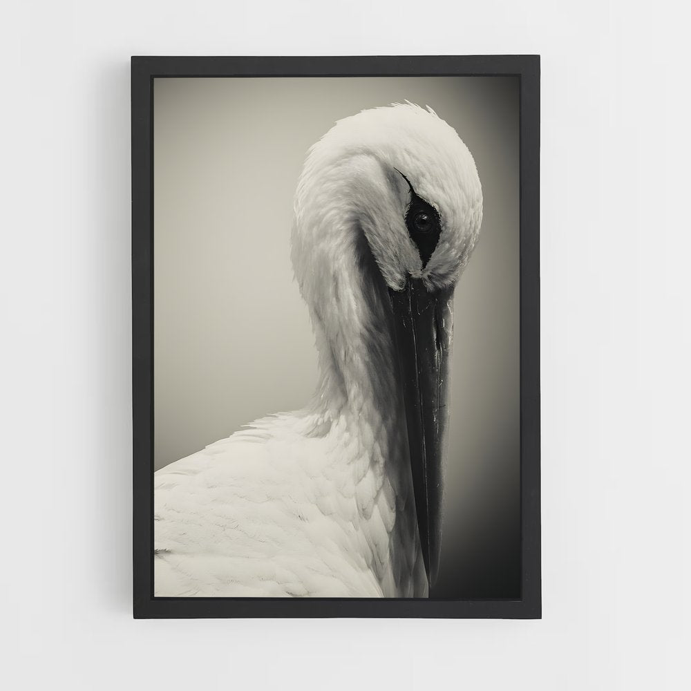 ap-stork-3 cadre Noir