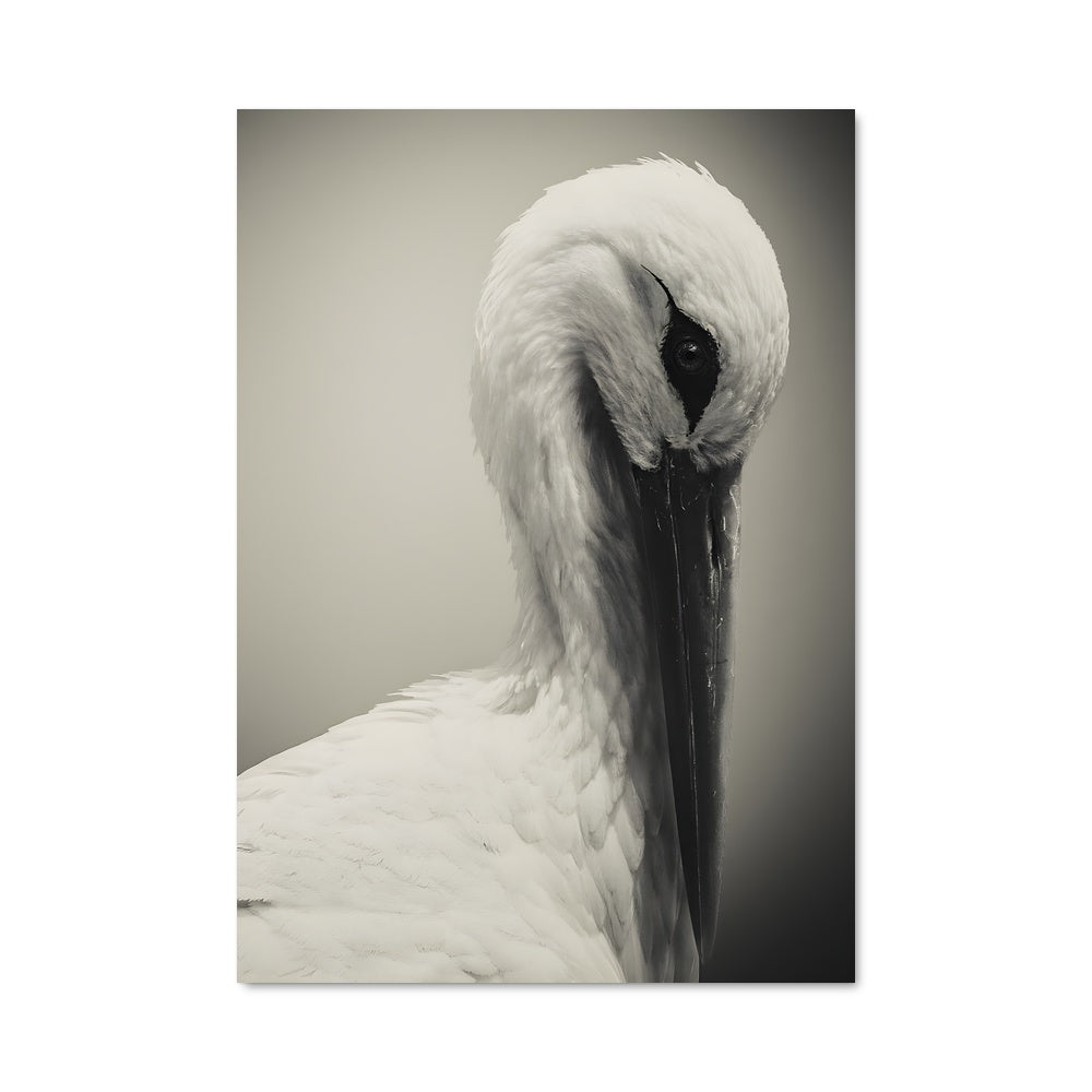 Poster L'Élégance de la Cigogne