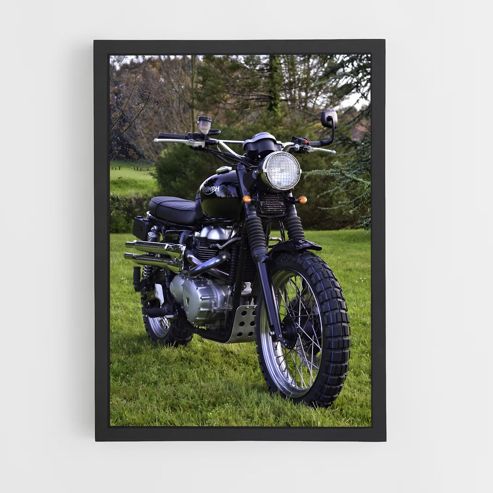 ap-street scrambler-5 cadre Noir