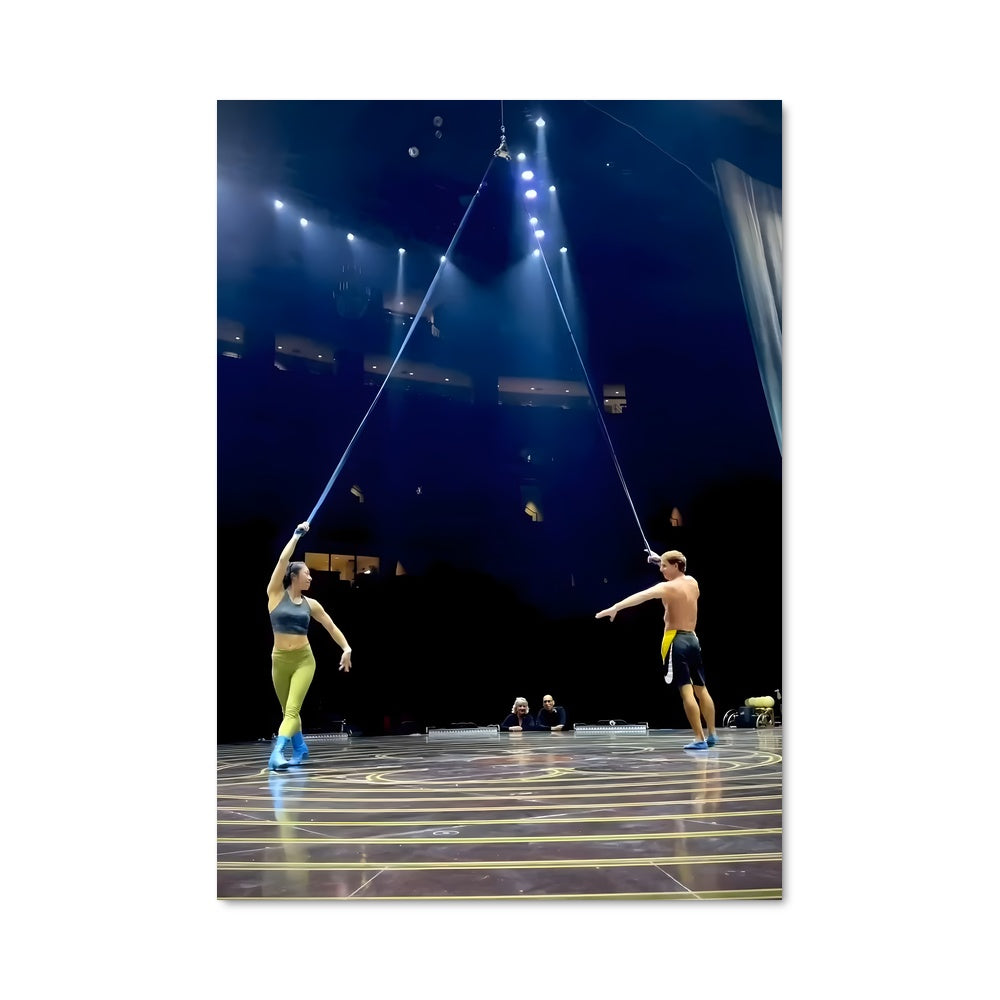 Poster Stunt performer 5324