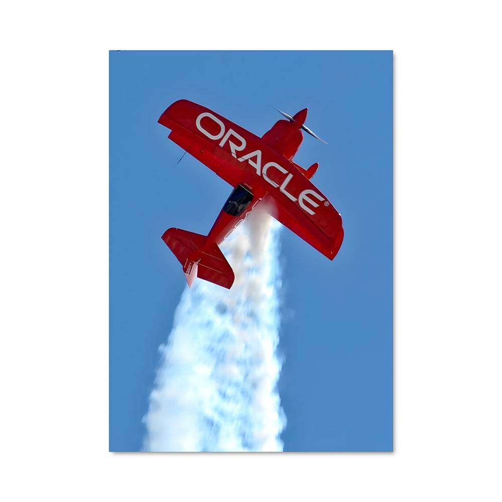 Poster Stunt planes 81167