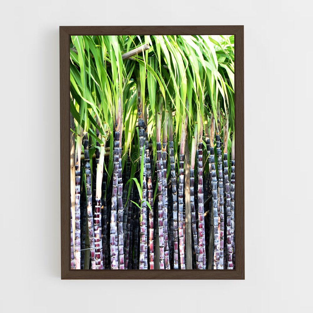 ap-sugarcane-2 cadre Bois foncé