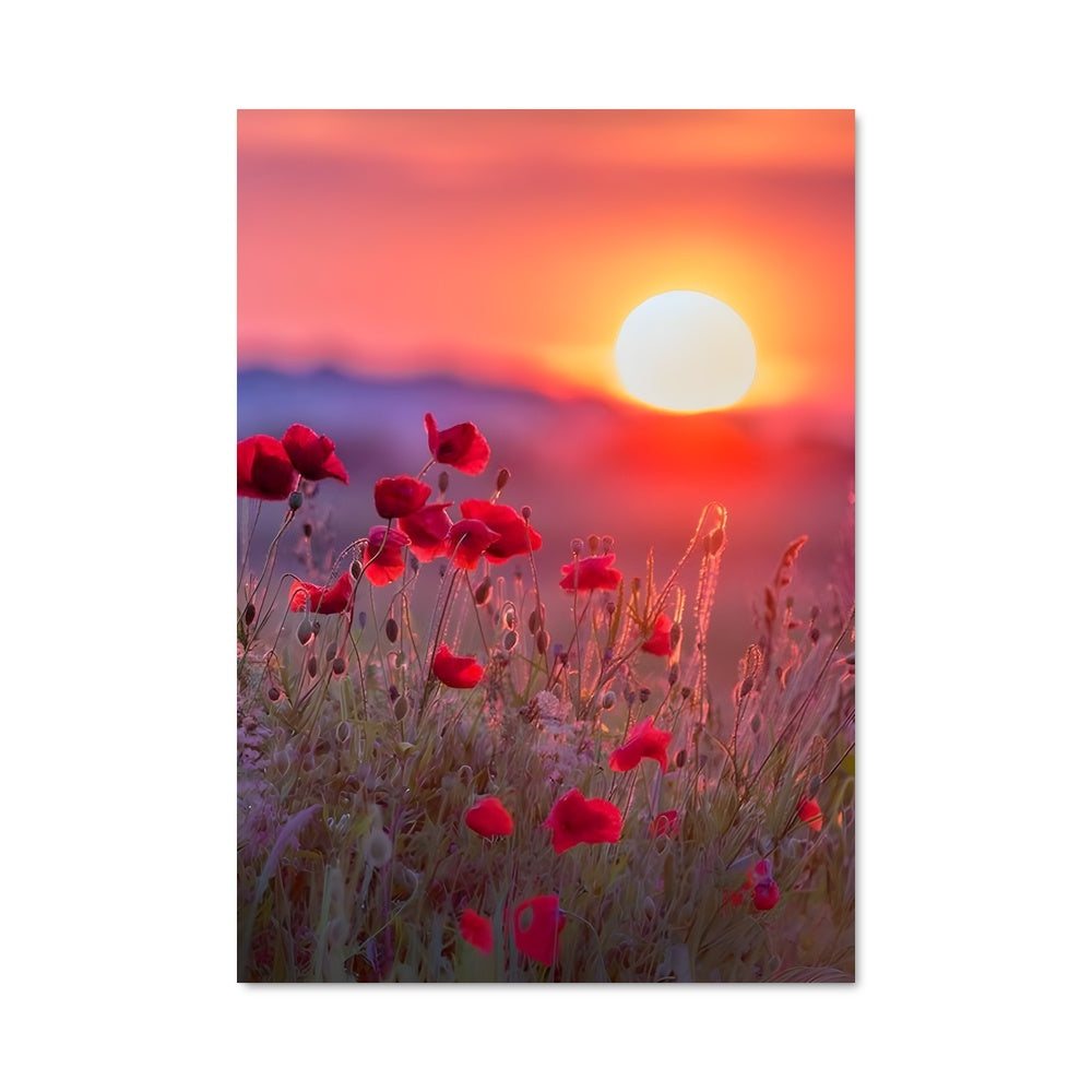 Poster Sunset 97844