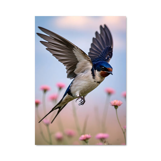 Poster Swallow 84448