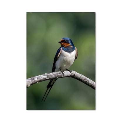 Poster L'Oiseau sur la Branche