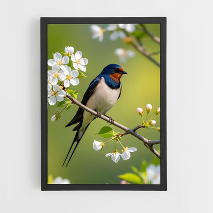 ap-swallow-2 cadre Noir